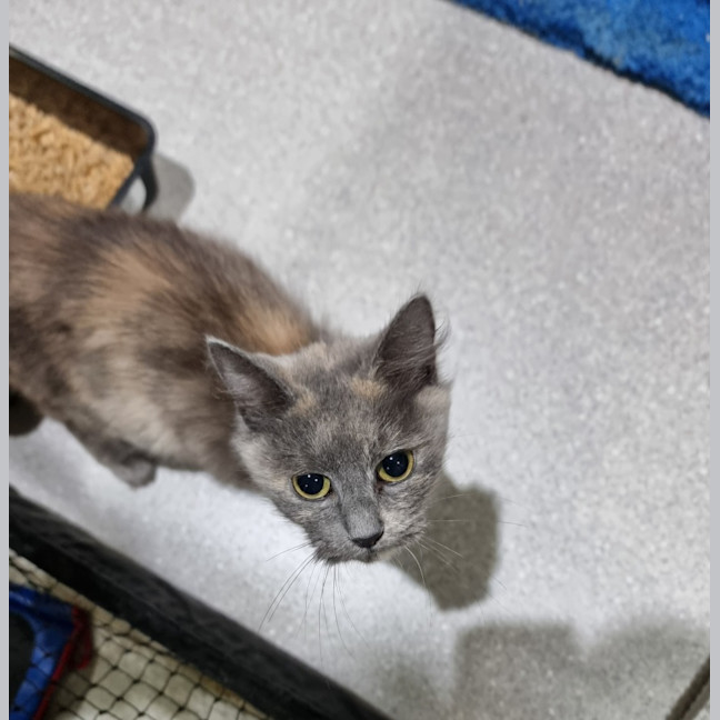 Photo of Mags