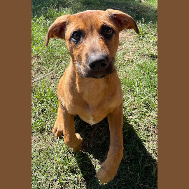 Photo of Stella