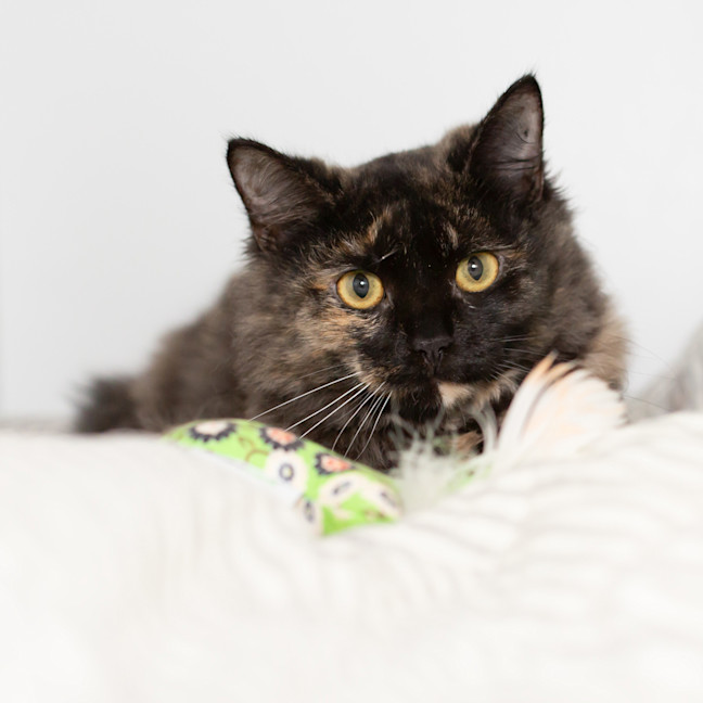 Photo of Baby Melanie