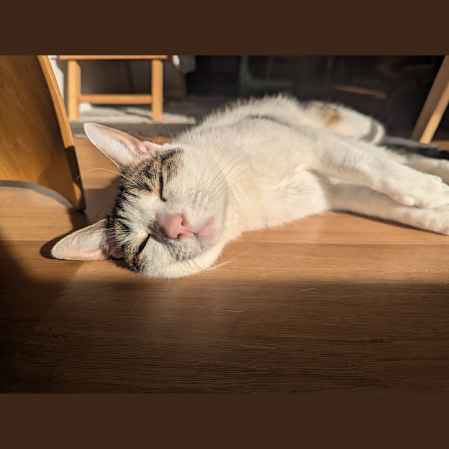 Photo of Tabitha