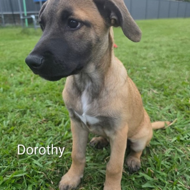 Photo of Dorothy