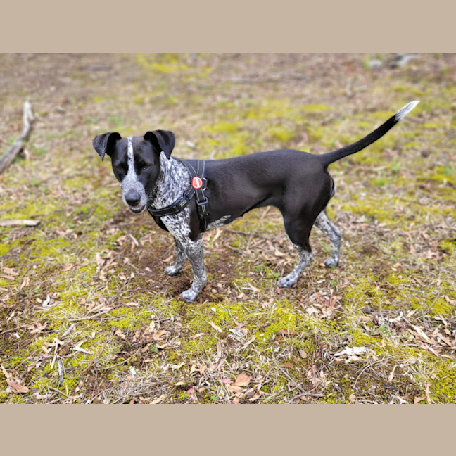 Photo of Tovah