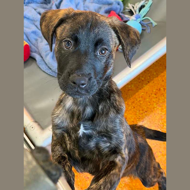 Photo of Sprout