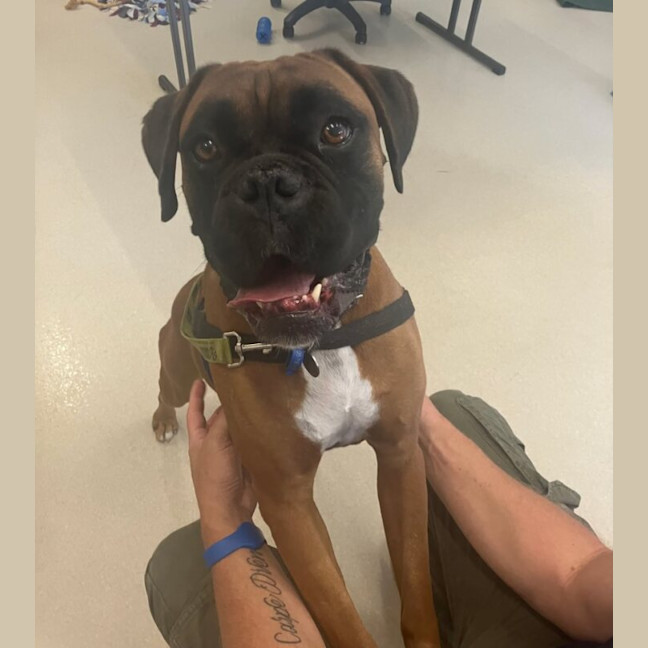 Photo of Tyson