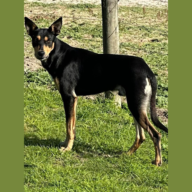 Photo of Doug