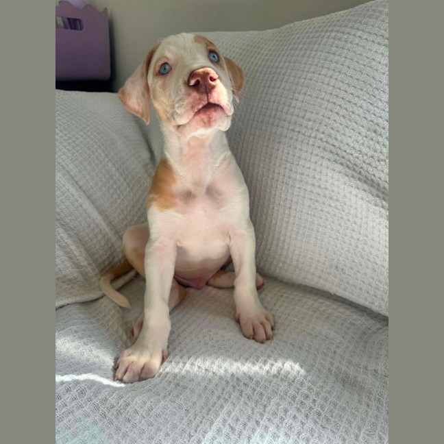 Photo of Hercules