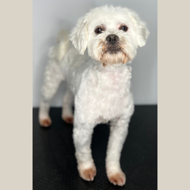 Photo of Mollie