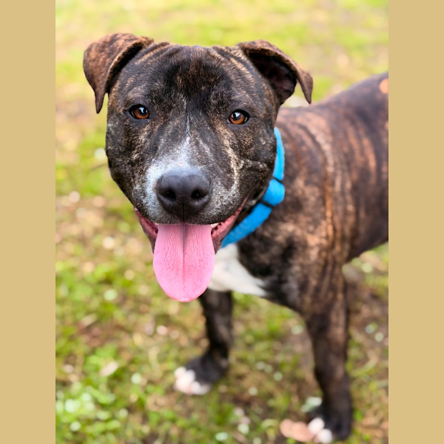 Photo of Tucker