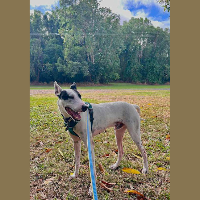 Photo of Aero