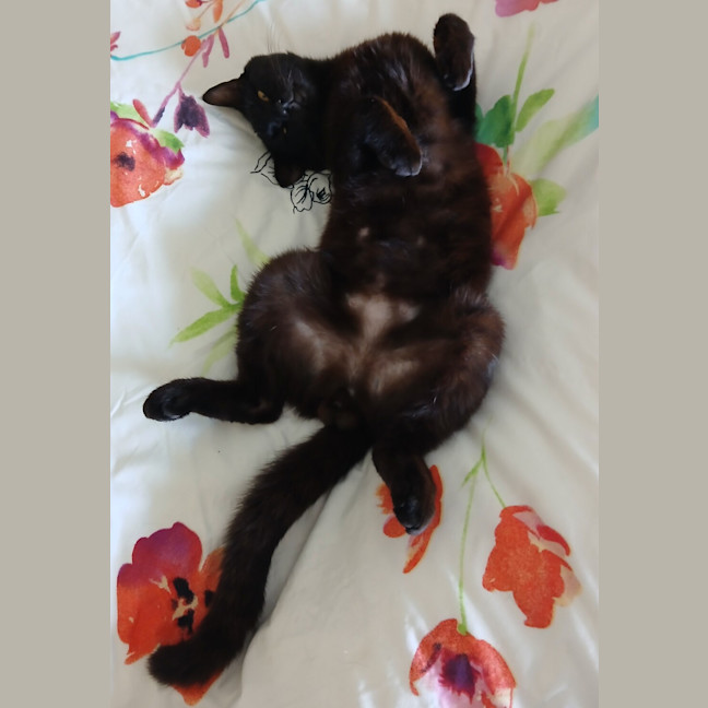 Photo of Elwood