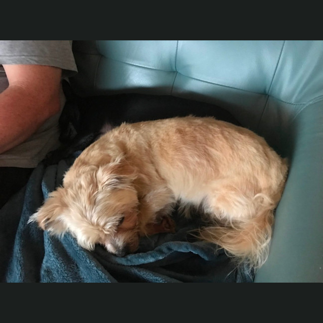 Photo of Milo & Angel