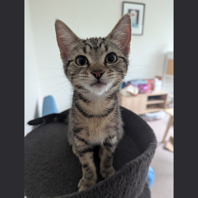 Photo of Lucia Scotty