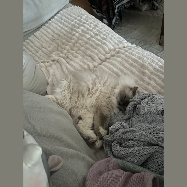 Photo of Lydia