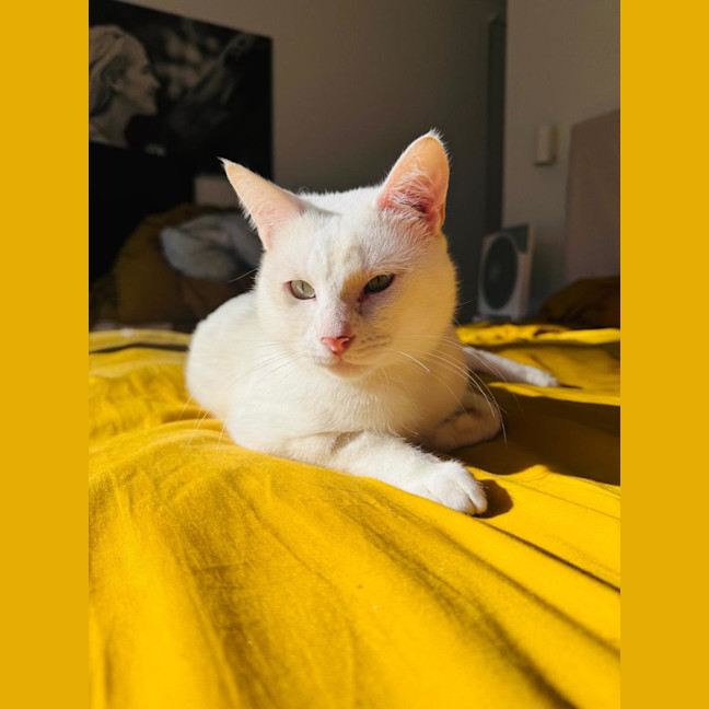 Photo of John Snow ❄️