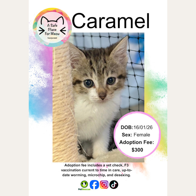 Photo of Caramel