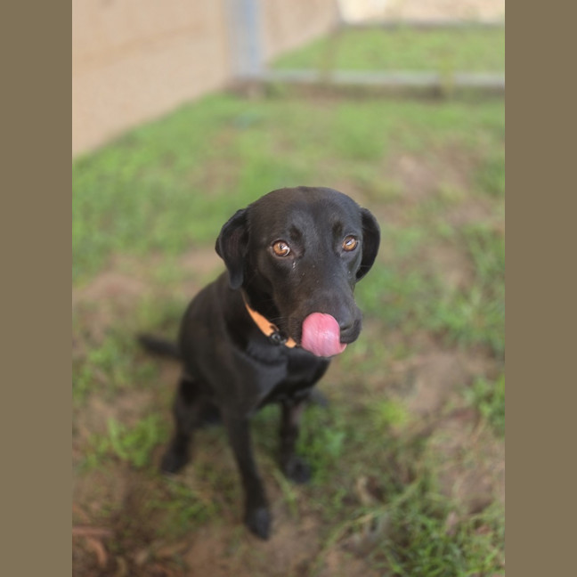 Photo of Luna