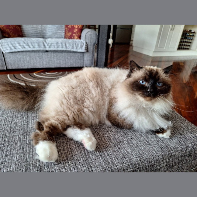 Photo of Princess Saffy