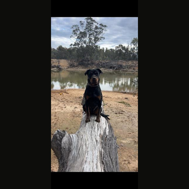 Photo of Nova