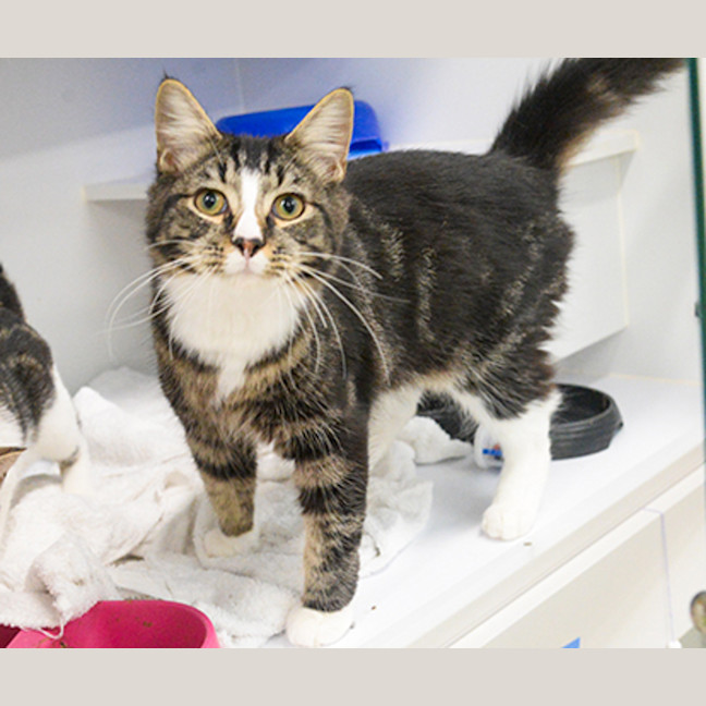 Photo of Monte Carlo