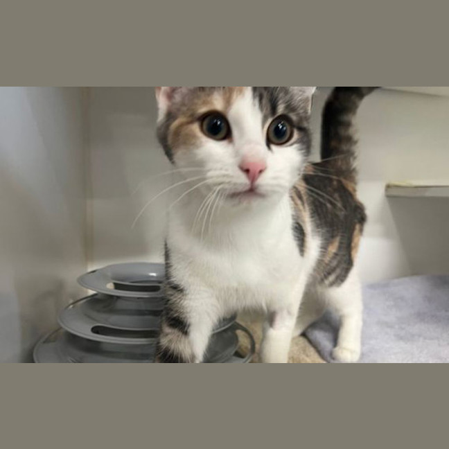 Photo of Marcie