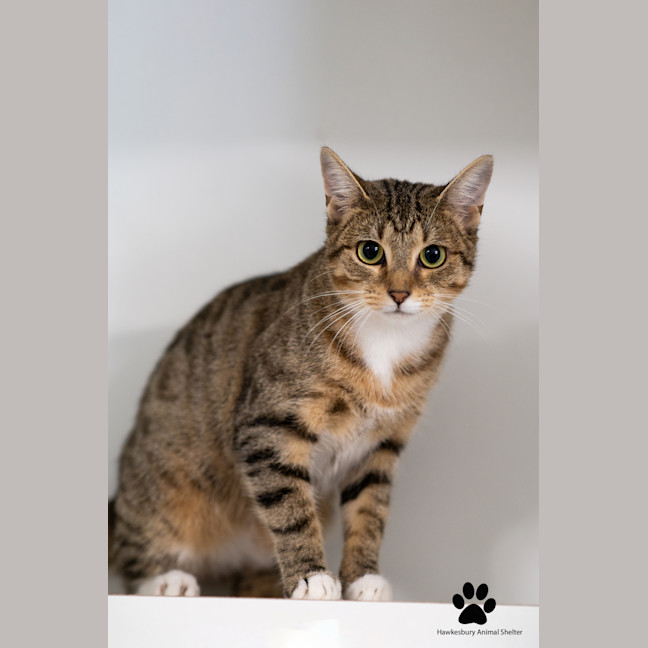 Photo of Belle