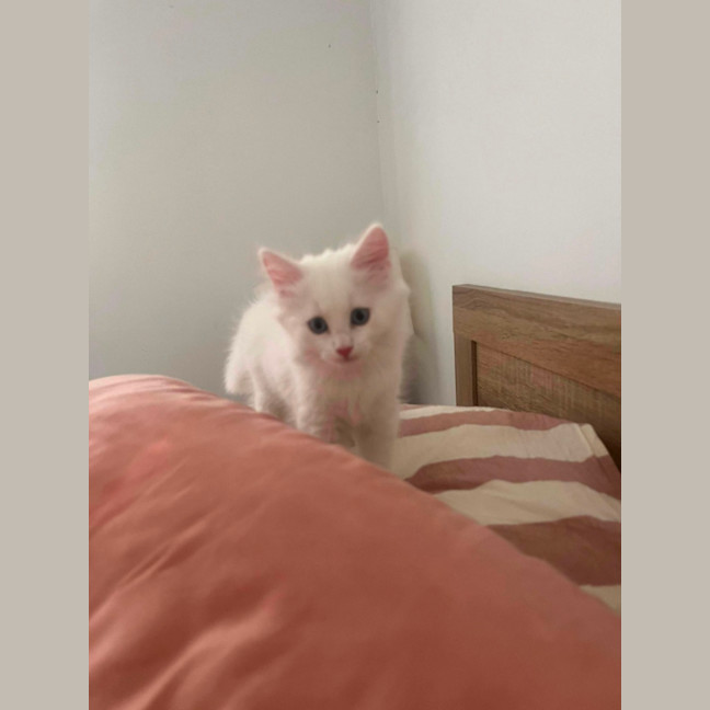 Photo of Sugar