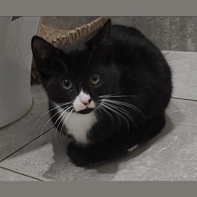 Photo of Mae