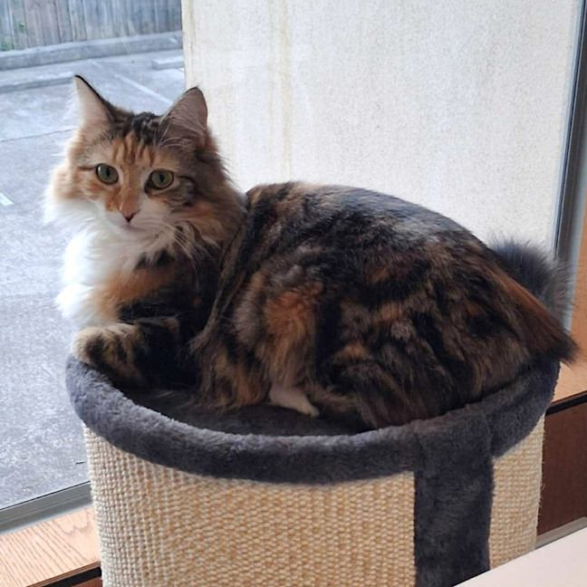 Photo of Polly Sta013920