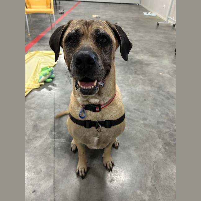 Photo of Roxy