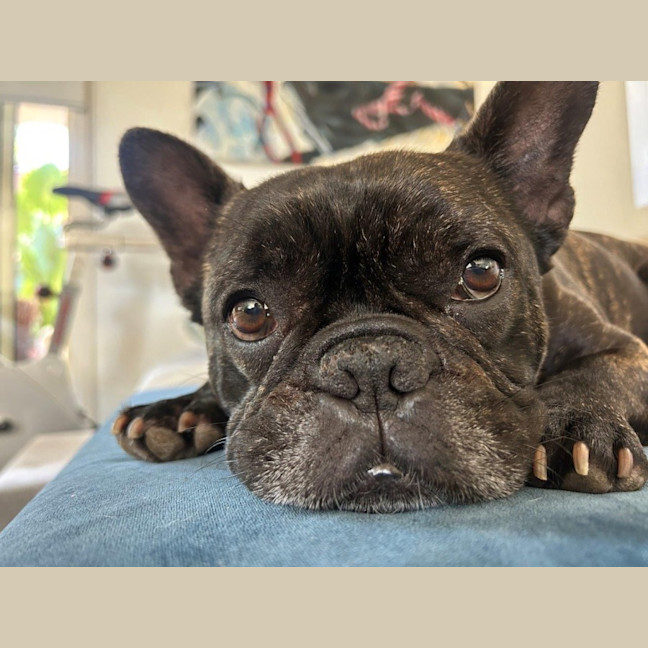 Photo of Vintage Wensleydale