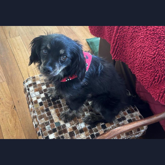 Photo of Tommy Allbright