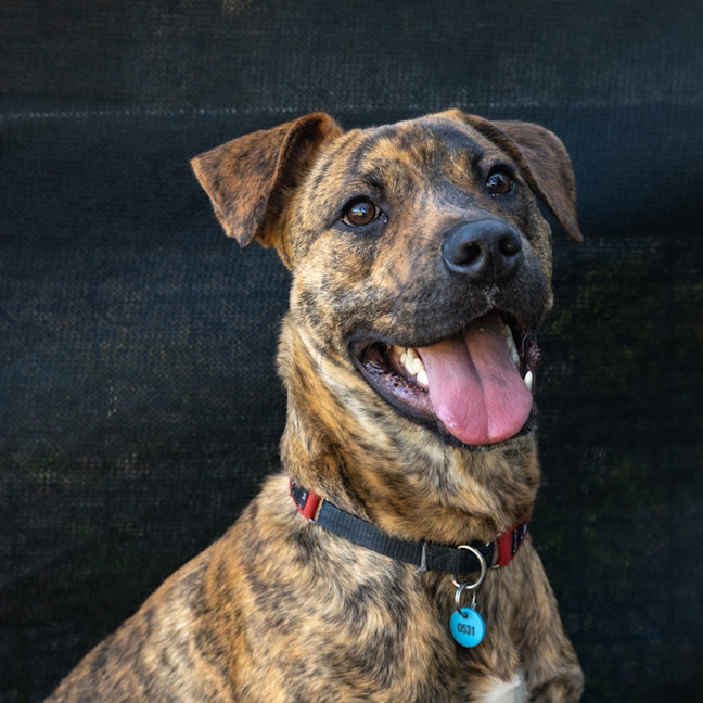 Photo of Reggie
