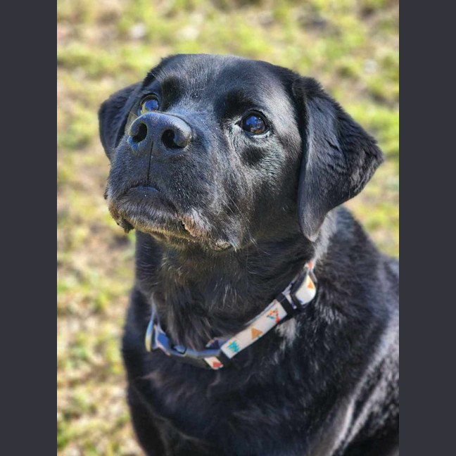 Photo of 🧀 Hugo 6240 🧀