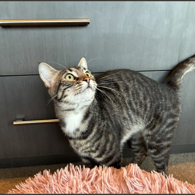 Photo of Gus