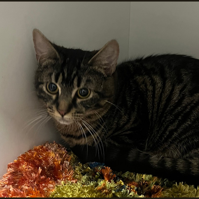 Photo of Colonel Mustard