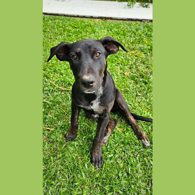 Photo of Dottie