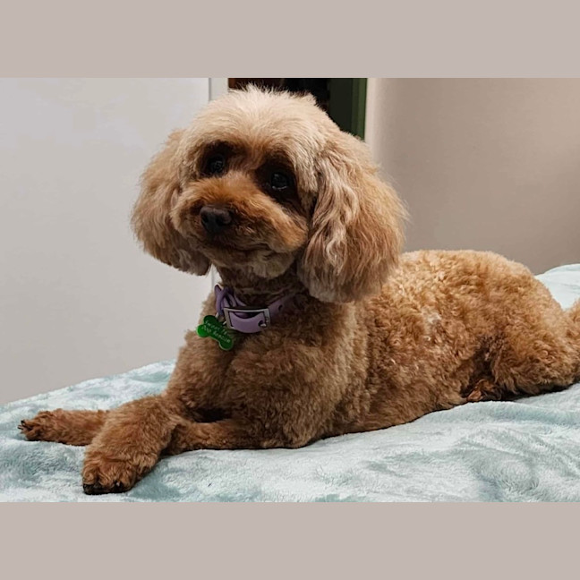 Photo of Mitzi