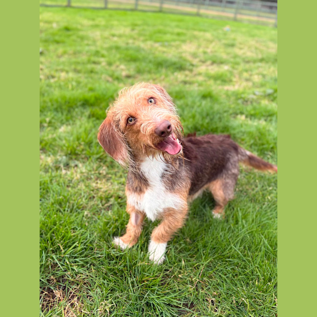 Photo of Lenni