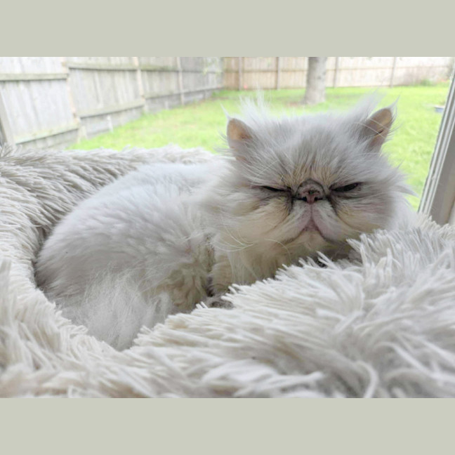 Photo of ❄Aspen❄