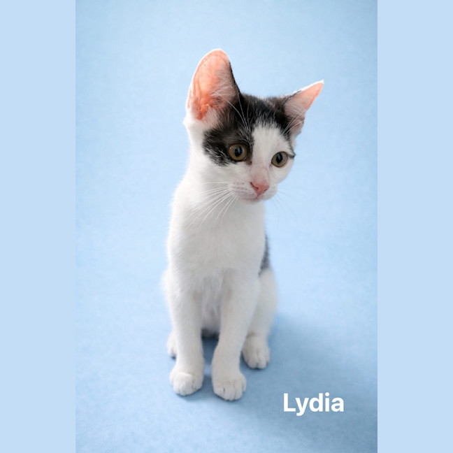 Photo of Lydia