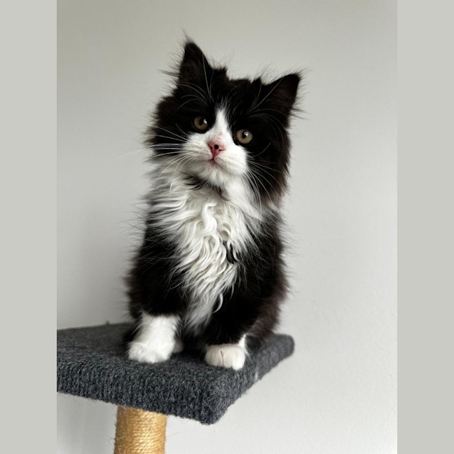 Photo of Esme