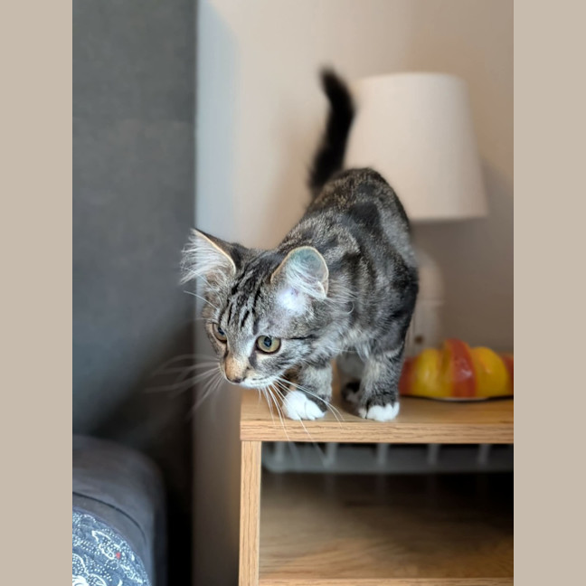 Photo of Selina 