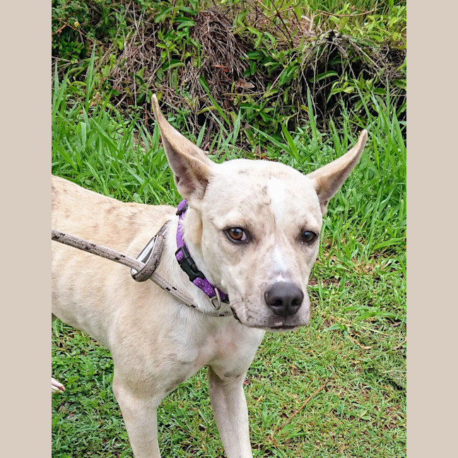 Photo of Maggie