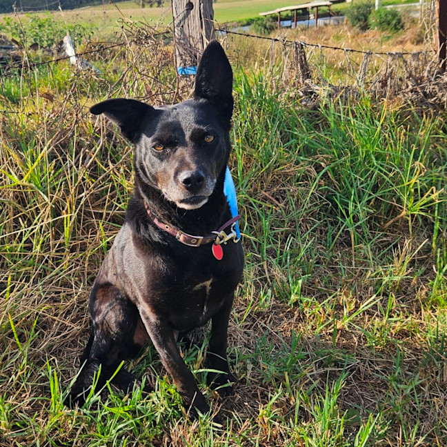 Photo of Sophie