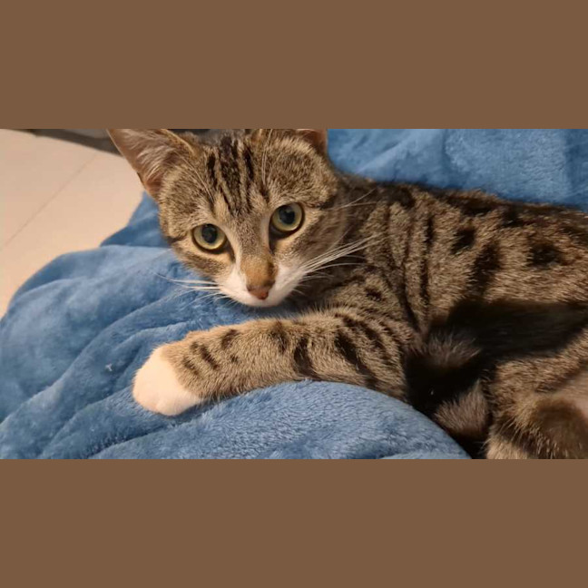 Photo of Esme