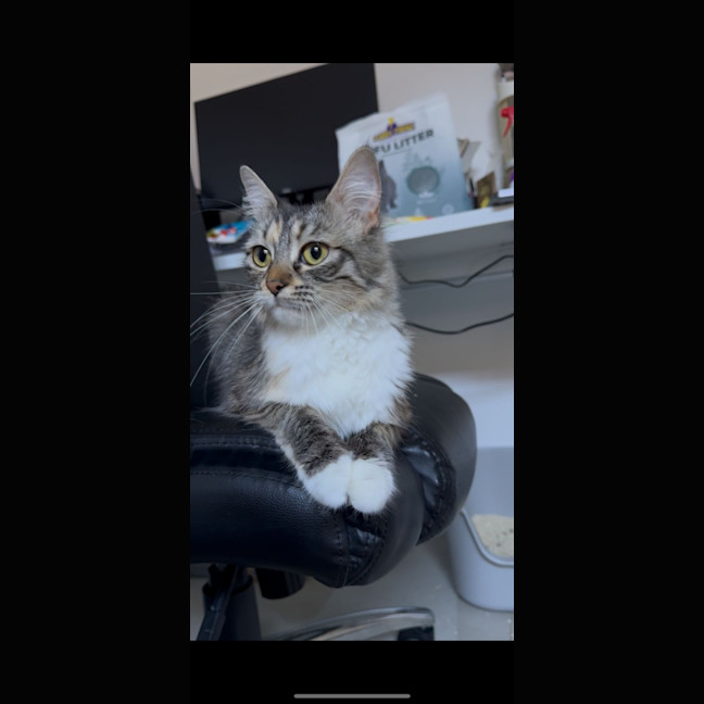 Photo of Sugar