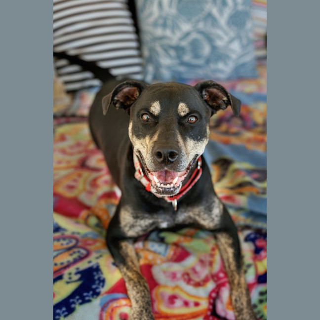 Photo of Misty 
