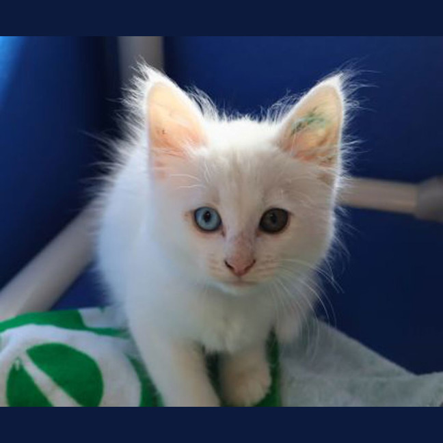 Photo of Jimmy