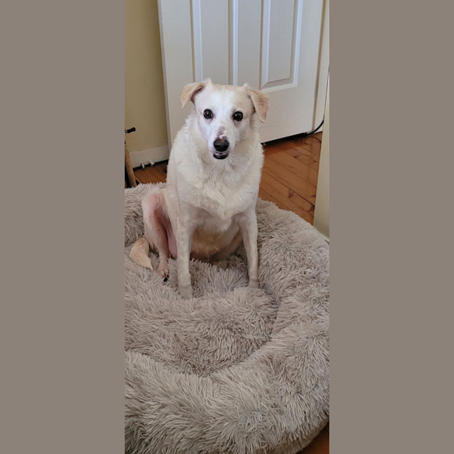 Photo of Possum 💜