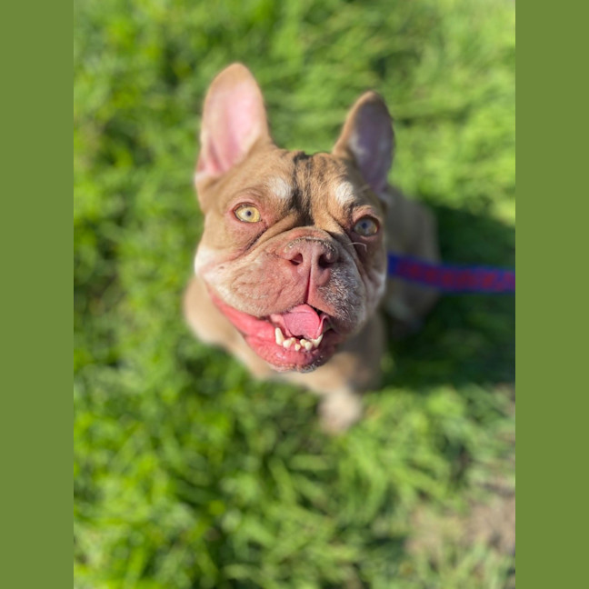 Photo of Betsy